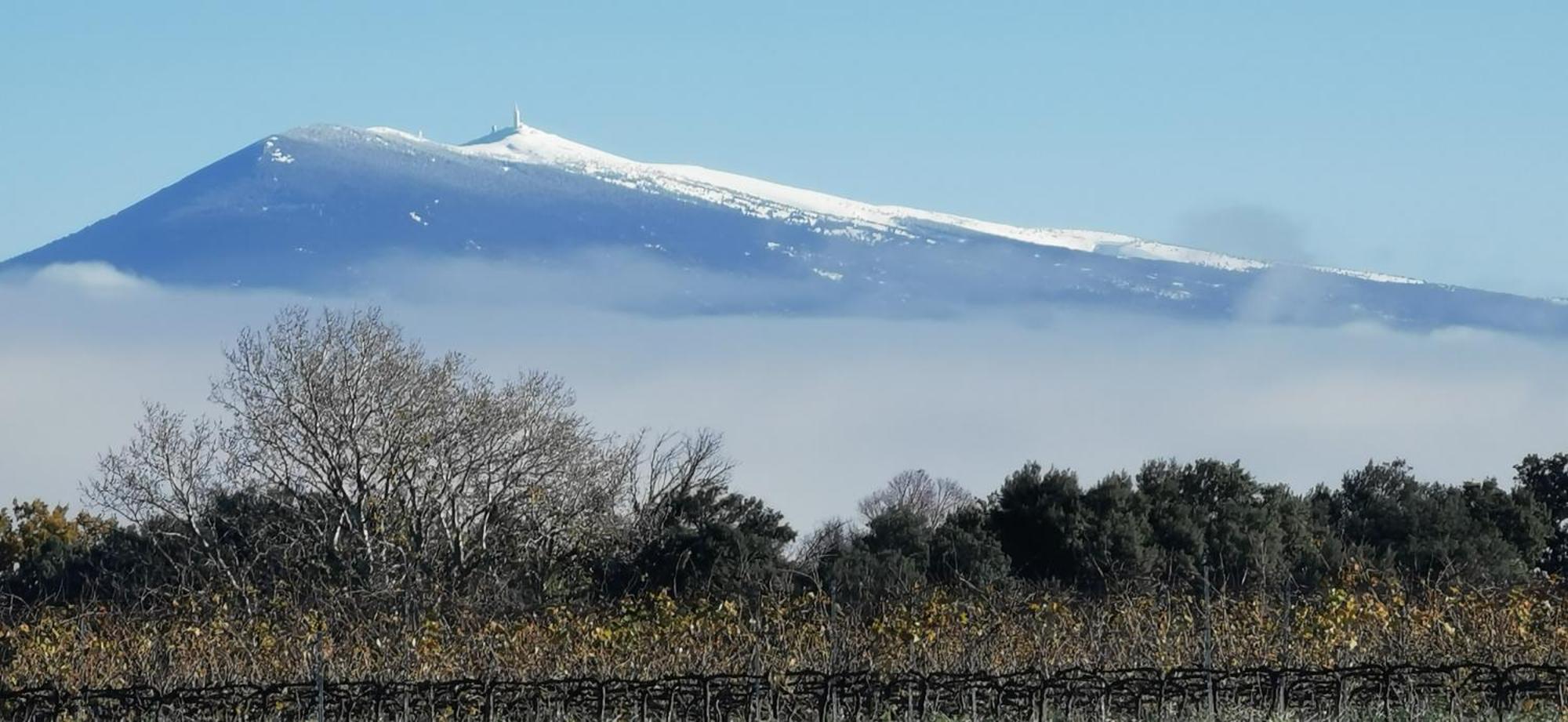 Lavand'Ange Et Spa Sarrians Exteriér fotografie