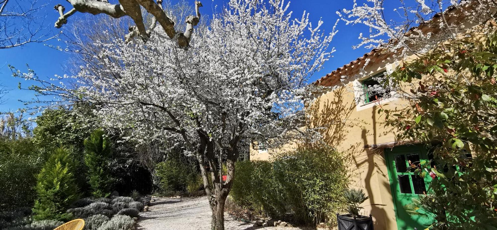 Lavand'Ange Et Spa Sarrians Exteriér fotografie